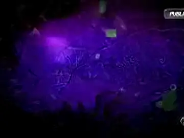 00017 00017