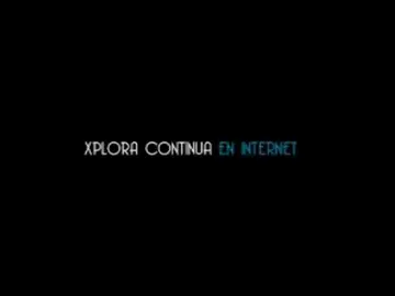00051 00051