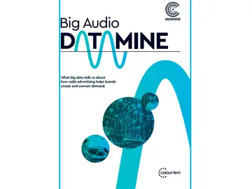 BIG AUDIO DATAMINE BIG AUDIO DATAMINE