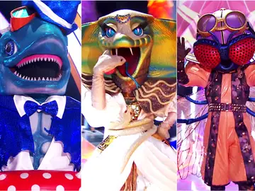 Gran Final de Mask Singer entre Tiburón, Cobra y Mosca: conoce este miércoles sus identidades... ¡y el vencedor! Gran Final de Mask Singer entre Tiburón, Cobra y Mosca: conoce este miércoles sus identidades... ¡y el vencedor!