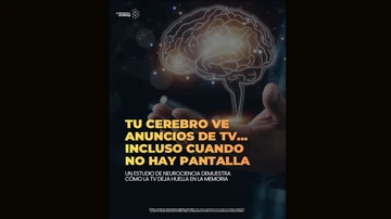 The visual transfer effect: how sound builds brands The visual transfer effect: how sound builds brands