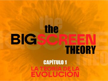 The Big Screen Theory The Big Screen Theory