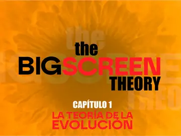 The Big Screen Theory The Big Screen Theory